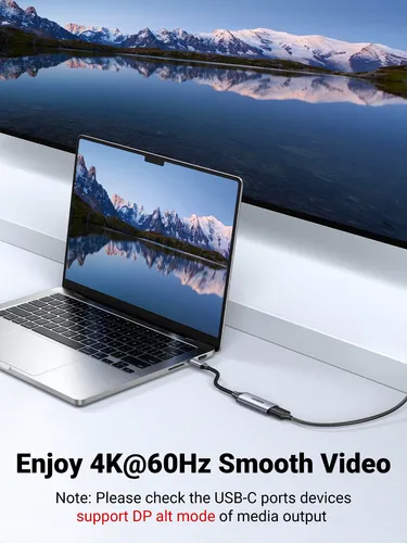 Vista 1