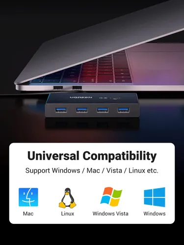 Vista 4