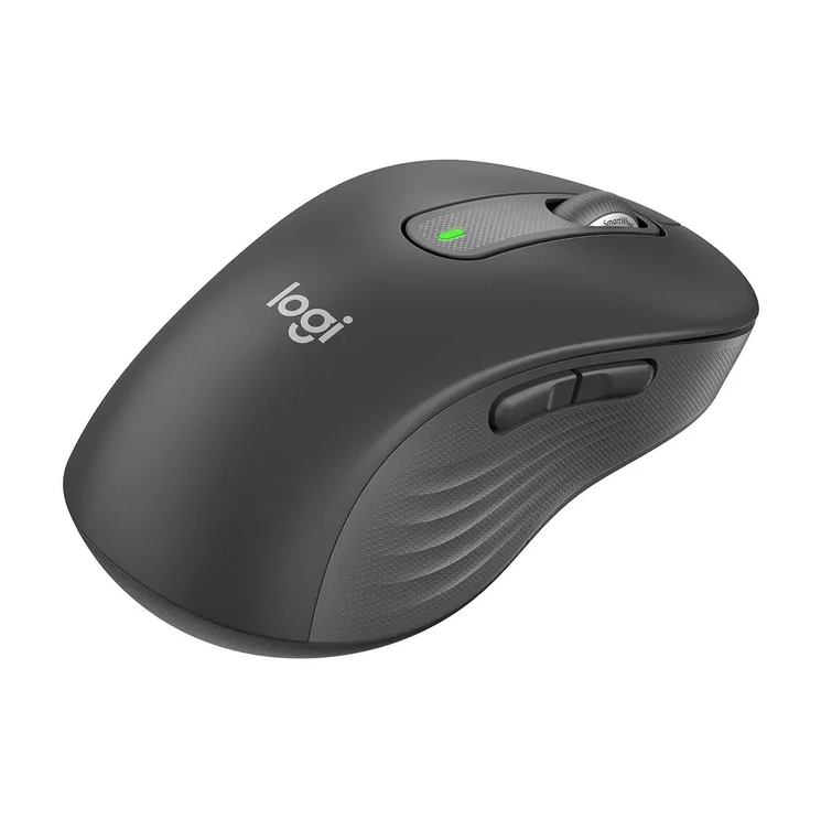 Vista 1